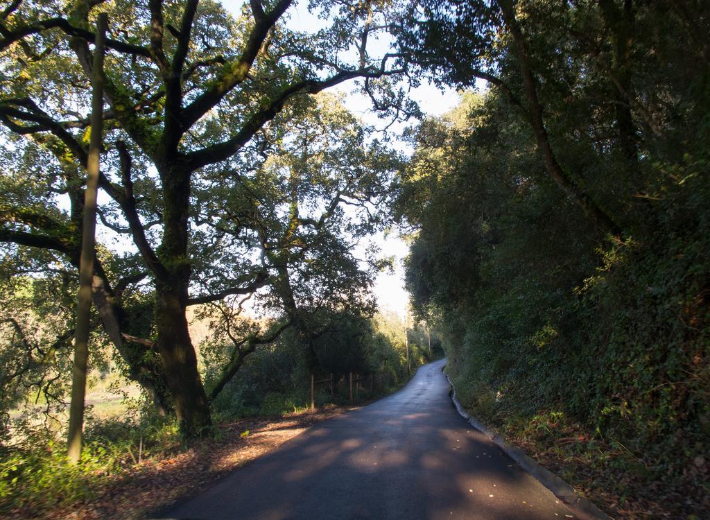 Quinta De Sao Tadeu Hotel Sintra Buitenkant foto
