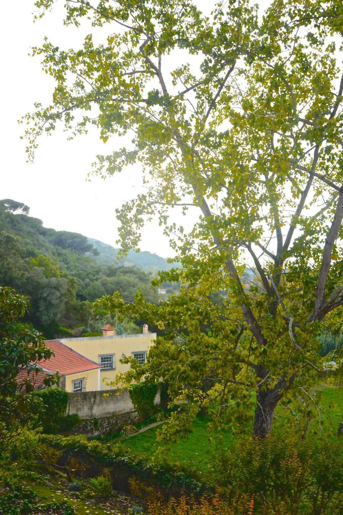 Quinta De Sao Tadeu Hotel Sintra Buitenkant foto