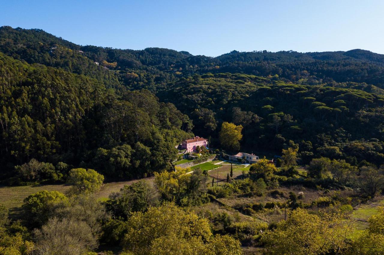 Quinta De Sao Tadeu Hotel Sintra Buitenkant foto