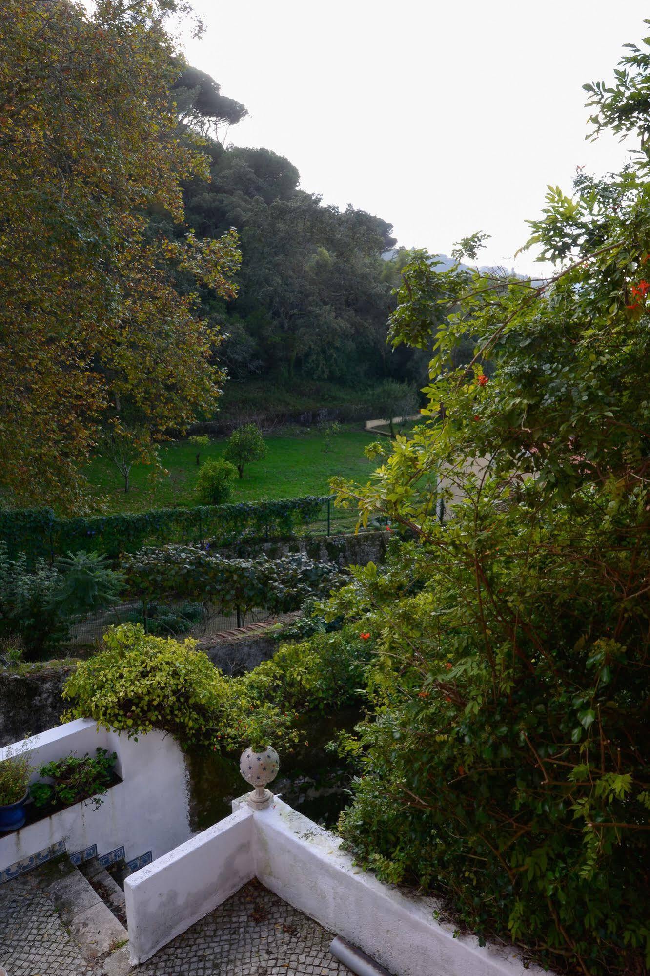 Quinta De Sao Tadeu Hotel Sintra Buitenkant foto